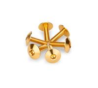 Puig 21765O Screw Kit Anodized For Screens Gold