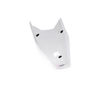 Puig Bmw R1300gs Trophy 2025 Headlight Protector Clear