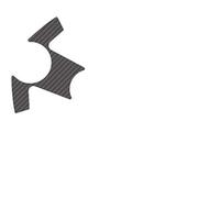 Puig 6238 °C Protector For Shaft Kawasaki Ninja250R 2008 - 2012 - Black