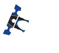 Puig 6931 A Shaft Protector For Yamaha FZ6 FAZER S2 07-10, Blue