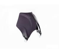 Puig Dark Smoke Raptor Screen Kawasaki Z900 RS SE 2022-2025
