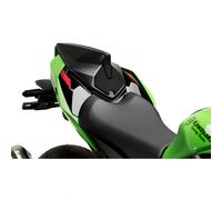 Puig Kawasaki Zx-10rr 2025 Tail