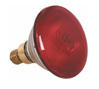 Pujadas Red Bulb for the Heat Lamp 250W 710205 (Each)