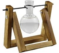 PUJIANA Flower Plant Pots,Flower Stand,Plant Terrarium with Wooden Stand, Desktop Glass Planter Bulb Vase Plant Propagation Stations