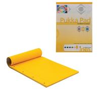 Pukka Dyslexia Pad A4 80gsm Ruled With Margin 100 Pages 50 sheets