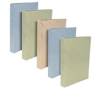 Pukka Pad Haze Ring Binder A4 Assorted (Pack of 5) 9889AST-HZE