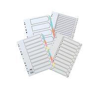 Pukka Index A4 White 1-20 Pukka Multicolor