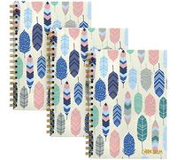 Pukka Pad, Carpe Diem 3-Pack B5 Hardcover Notebooks, 7 x 9.8 Inches Each, Feathers