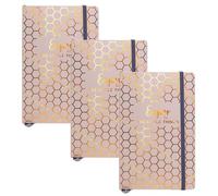 Pukka Pad, Haze A5 Journal - 8.2 x 5.11in, Notebook with Elasticated Closure - Beige, 3-Pack