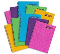 Pukka Pad, Pastel Pressboard A4 Pad - 10 Pack of Side-Bound Wire-Binding Notebooks with 120 Pages of 80GSM Paper, Pressboard Cover, and Elasticated Closure - Assorted Colours