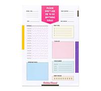 Pukka Pad, Pukka Planet B5 Daily Planner Pad Featuring 100% Recycled Paper with Space for Calls, Emails, Exercise, Goals, to-Go Lists, Notes, and Schedule - 25 x 19cm