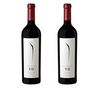 Pulenta Estate VII Gran Corte 75cl - Pack of 2 | 14.5% ABV