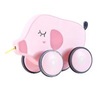 Pull Along Toys for 1 Year Old - Funny Cute Pull String Toys, Push Toy - Diverse Play Styles, Silent Tire, Educational Walking And Balancing Toy, Promote Physical Development