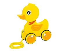 Pull Along Walking Toys Birthday Gift Push and Pull Toy for 1 2 3 4 Years Old Duck