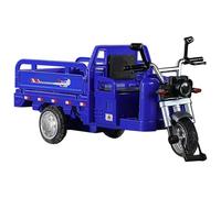 Pull Back Vehicles, Small Metal Vehicles for Children & Cool Tricycle Models, Mini Tricycle Vehicle Model with Realistic Design, Safe as a Gift for Birthday, Carnival and Festivities