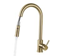 Pull-Out Kitchen Tap 360° Rotating with Dual-Mode Spray (Gold)
