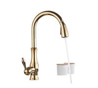 Pull Out Spray Polish Swivel Spout Kitchen Sink Faucet Pull Down Sprayer Design Bathroom Hot&Cold Water Mixer Tap(Gold Polish)
