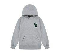 Pull Over Hoody Sweatshirt - male - Levi's - Kids Sweatshirts - Gray - 4 Y - Kids 4 Y