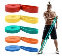 Pull Up Bands, Resistance Bands, Pull Up Assistance Bands Set for Men & Women, Exercise Workout Bands for Working Out, Body Stretching, Physical Therapy, Muscle Training - Multicolor