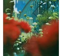 Pulled Apart By Horses - The Haze