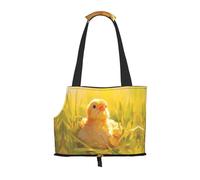 Pullet Printed pet Shoulder Bag - Foldable Design, Small cat and Dog Travel Bag