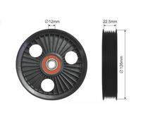 NTY RNK-CH-026 Deflection / guide pulley, V-ribbed belt