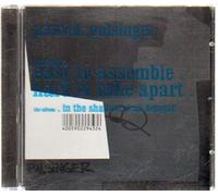 Pulsinger, Patrick - The Album - Easy to Ensemble Hard to Take Apart