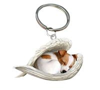 pulunto Cute Sleeping Angel Dog Pendant, Acrylic Dog Sleeping in Angel Wings Model Hanging Keychain Pendant for Auto Interior Home Stationery Decor