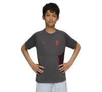 Puma Ac Milan 25/26 Tech Pocket Jr Short Sleeve T-shirt Grey 5-6 Years Kids