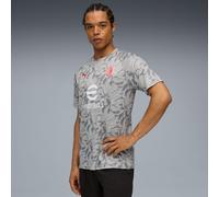 PUMA AC Milan Pre-Match Jersey Men, Smokey Grey/White, size XS