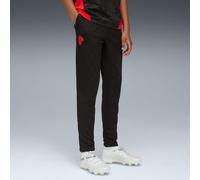 PUMA AC Milan Training Pants Youth, Black/For All Time Red, size 15-16 Youth