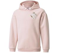Puma Alpha Hoodie FL Jr 589232 36