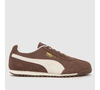 PUMA Arizona Trainers in Brown UK 7 (EU 40½)