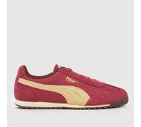 PUMA Arizona Trainers in Burgundy UK 8 (EU 42)