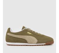 Puma Shoes (Trainers) Arizona SD in Kaki 5