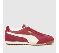PUMA Arizona Trainers in Red UK 3 (EU 35½)