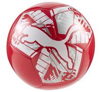 PUMA BIG CAT ball
