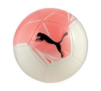 PUMA Big Cat ball
