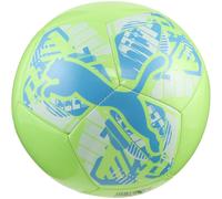 Puma Big Catball Mini Football Ball