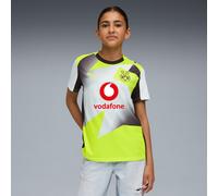 Puma Borussia Dortmund Away Junior Short Sleeve Jersey 2025/2026 Size: 13-14 years, Colour: Silver