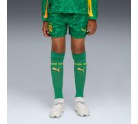 PUMA Borussia Dortmund 25/26 Goalkeeper Shorts Youth, Archive Green/Intense Orange, size 7-8 Youth