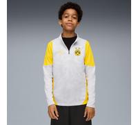 PUMA Borussia Dortmund Training Quarter-Zip Top Shirt Youth, Silver Mist/Faster Yellow, size 13-14 Youth