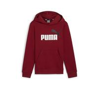 PUMA Boy's Ess+ 2 Col Big Logo Hoodie Fl B Sweat