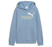 PUMA Boy's Ess 2 Color No, 1 Logo Hoodie Fl B Hoodies (pack of 1)