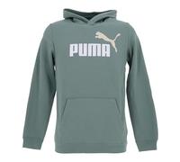 PUMA Boy's Ess 2 Color No, 1 Logo Hoodie Fl B Hoodies (pack of 1)