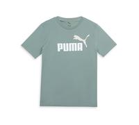 PUMA Boy's Ess 2 Color No.1 Logo Tee B Tees (Pack of 1)