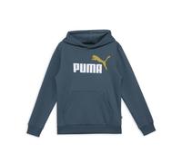 PUMA Boys No1 OTH Hoodie Junior Grey Skies 7-8 Years
