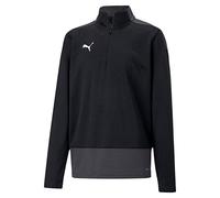 Puma Teamgoal 23 Training quarter Zip Top Jr Fleece Unisex Kids