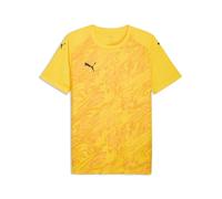 PUMA Boy's Teamfinal Graphic Jersey Jr Jerseys