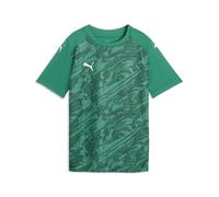 PUMA Boy's Teamfinal Graphic Jersey Jr Jerseys